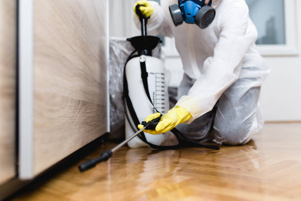 Best Local Pest Control Services  in Luther, OK