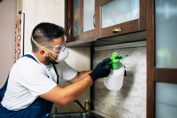 Best Pest Control Near Me  in Luther, OK
