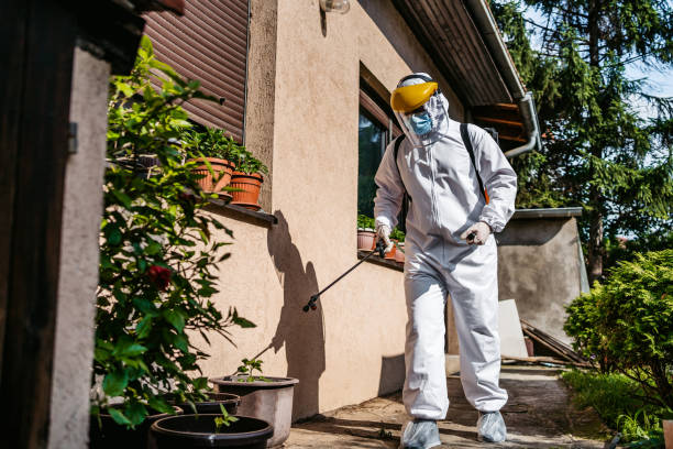 Best Ant Control Services  in Luther, OK