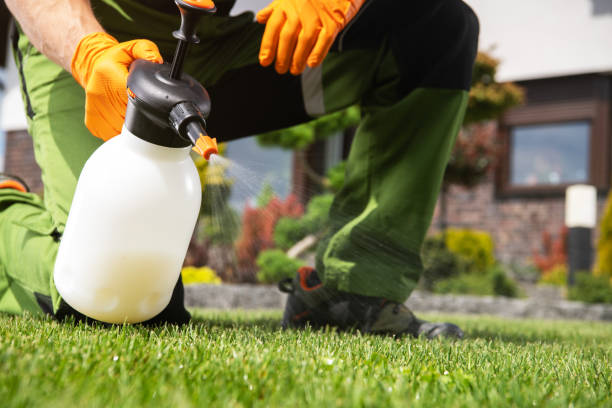 Best Affordable Pest Control Services  in Luther, OK