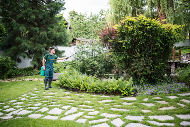 Best Local Pest Control Services  in Luther, OK