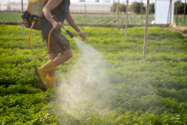 Best Best Pest Control Companies  in Luther, OK