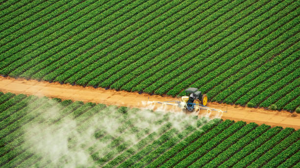 Best Pest Prevention Services  in Luther, OK