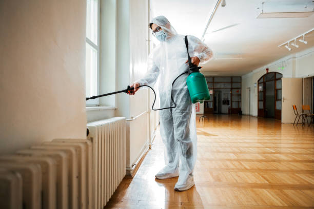 Best Ant Control Services  in Luther, OK