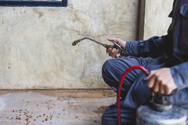 Best Pest Removal Services  in Luther, OK